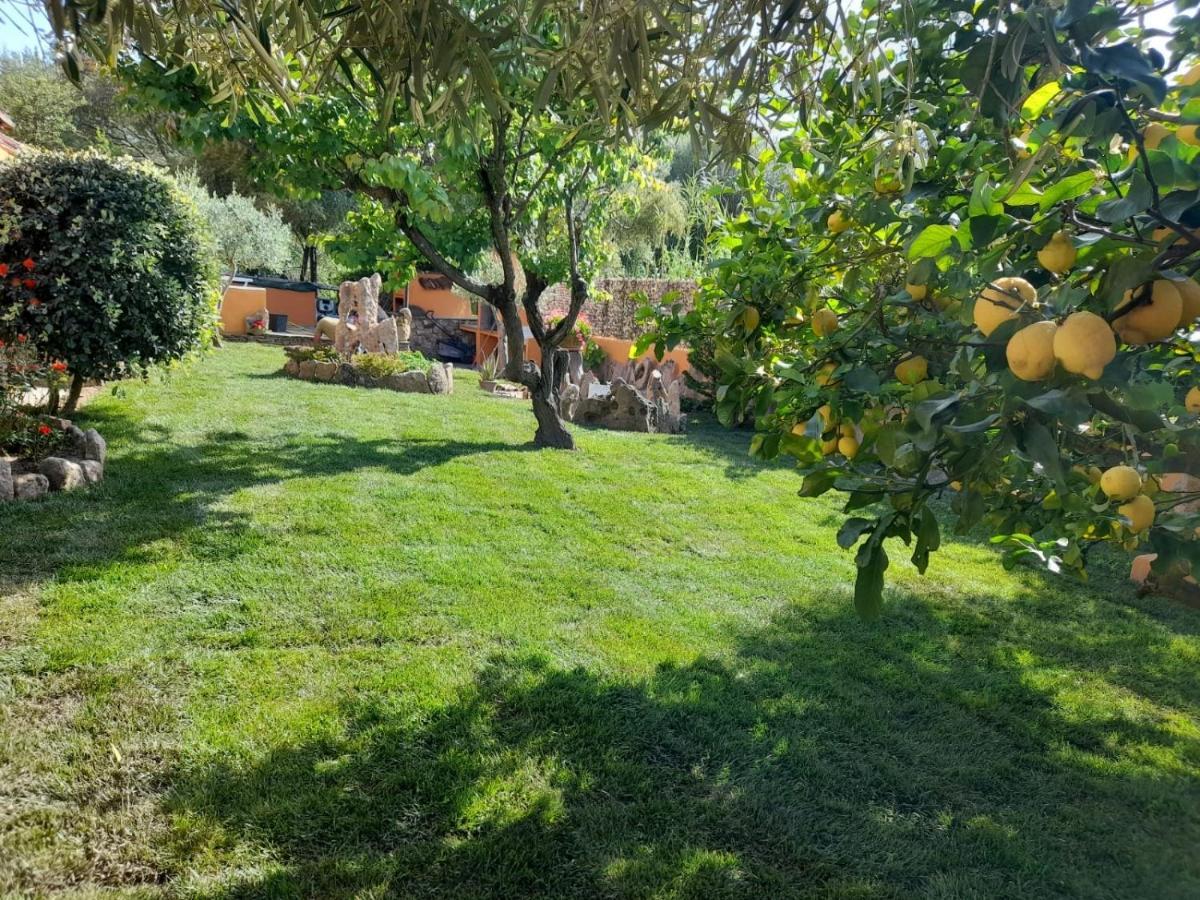 B&B Da Sabrina Сан-Теодоро Экстерьер фото